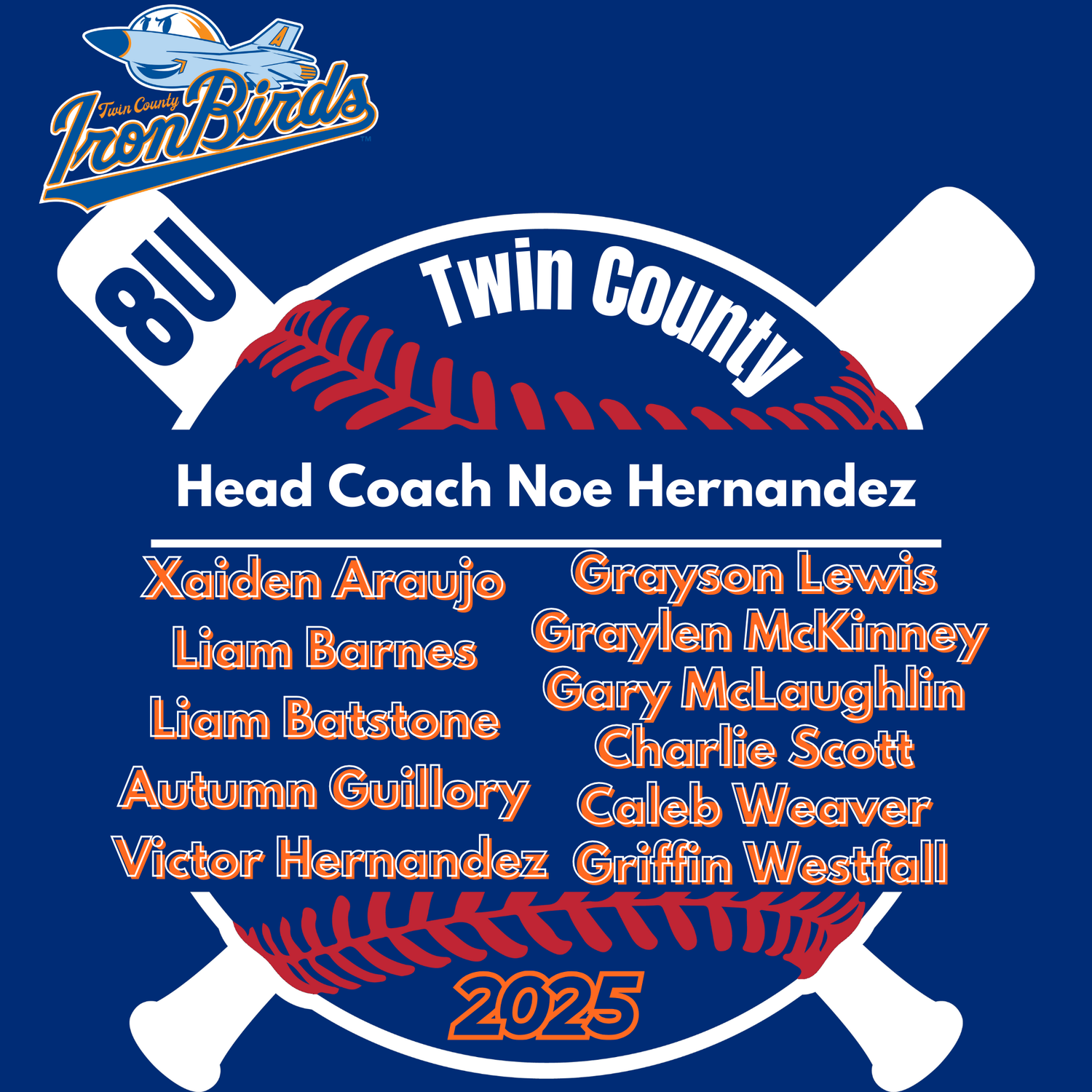 Ironbirds 8U Twin County 2025