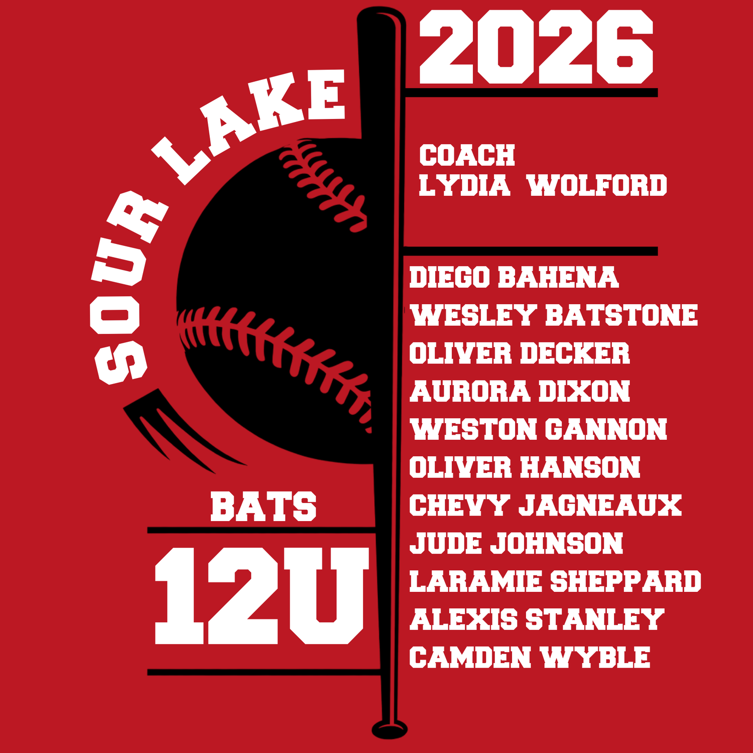 Bats 12U Twin County 2026