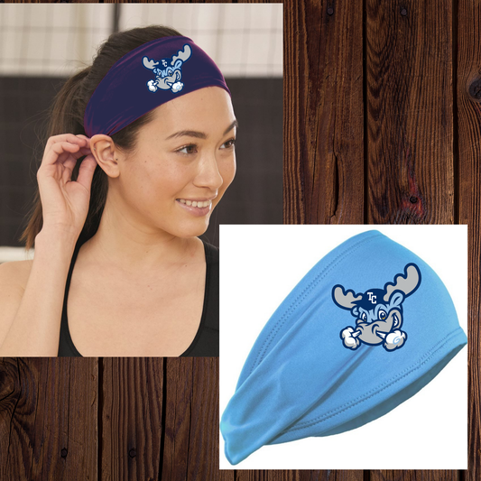 Blue Rocks Headband