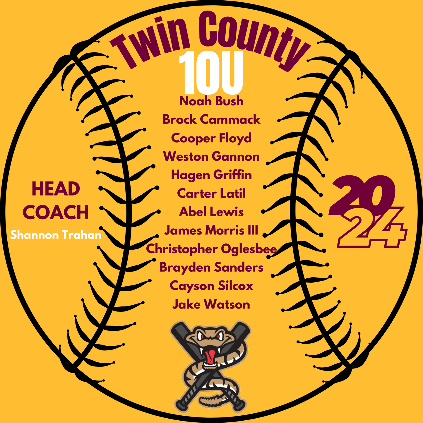 Timber Rattlers Alternate Logo Twin County 10U Shirt 2024