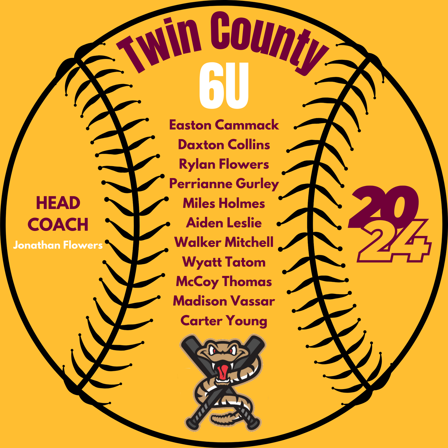 Timber Rattlers Twin County Instructional 6U Shirt 2024